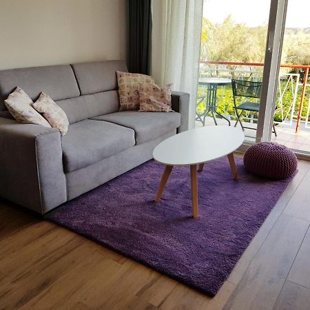 Apartman Luka Novigrad  Екстер'єр фото