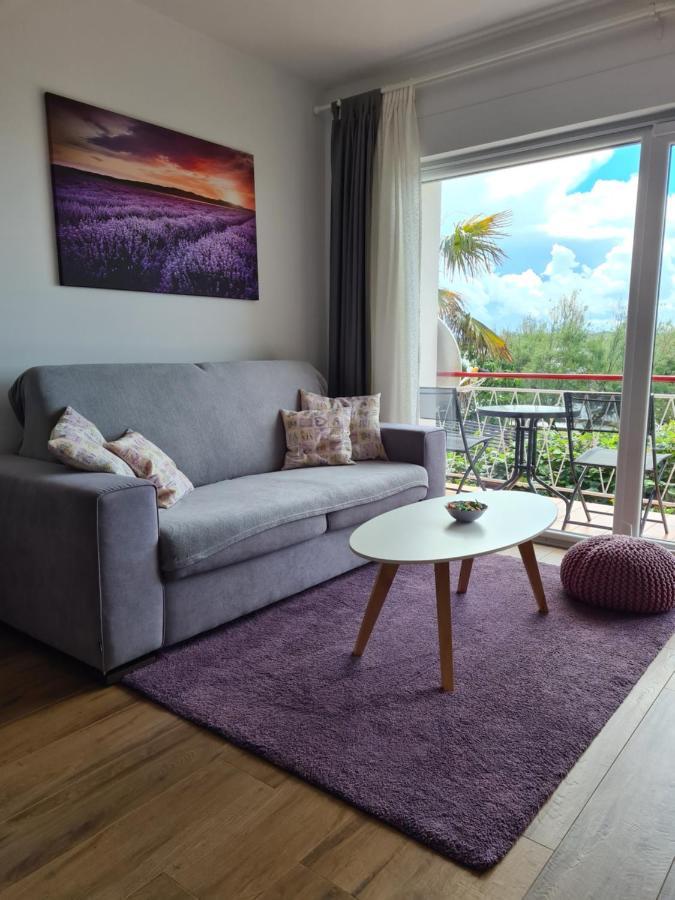 Apartman Luka Novigrad  Екстер'єр фото