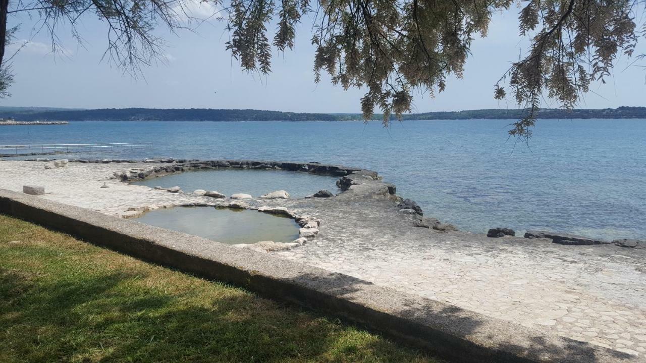 Apartman Luka Novigrad  Екстер'єр фото